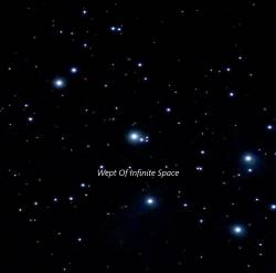 Suffocating In A Mantle Of Leaves : Wept of Infinite Space Suffocating In A Mantle Of Leaves : Wept of Infinite Space